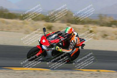 media/Feb-04-2023-SoCal Trackdays (Sat) [[8a776bf2c3]]/Turn 6 Inside (1025am)/